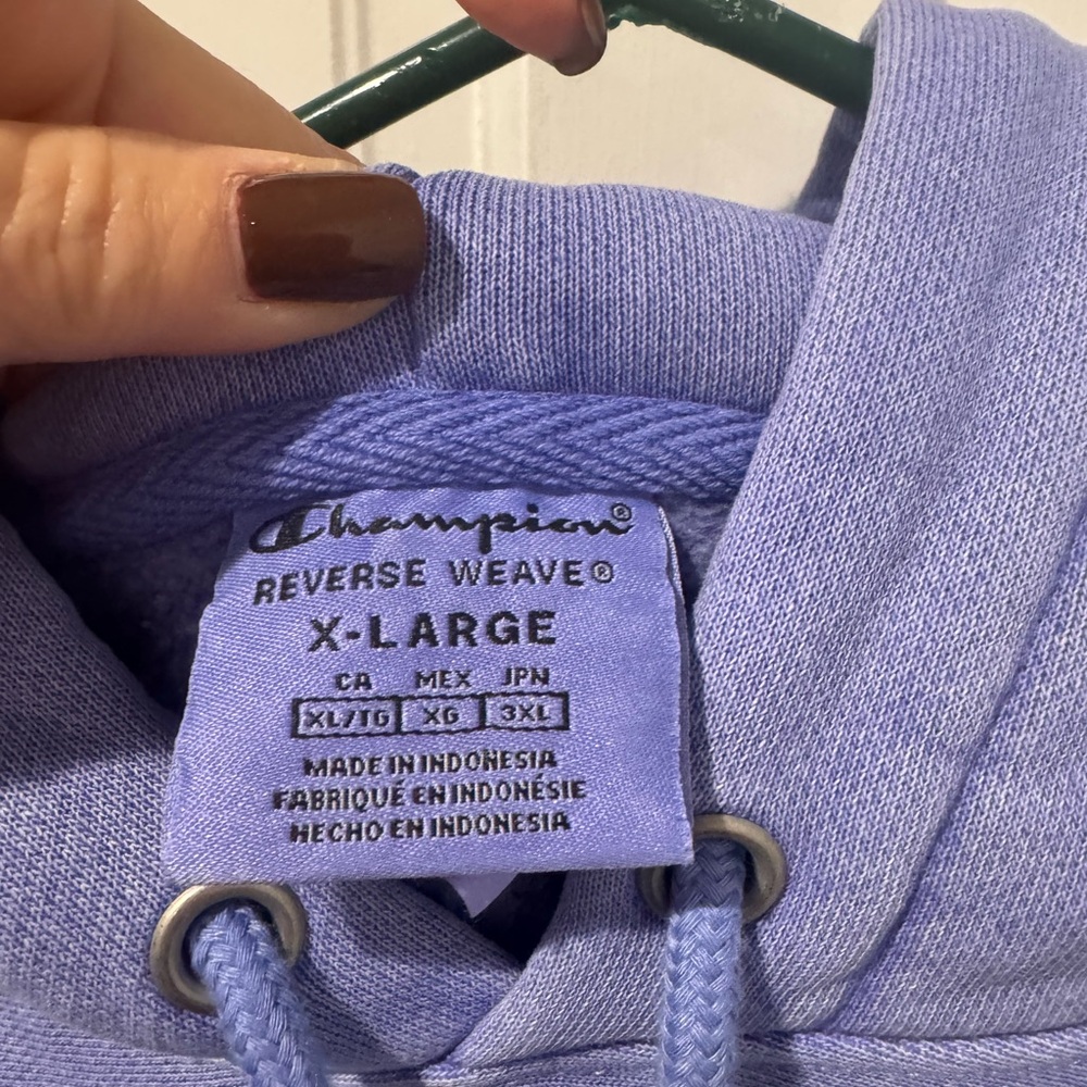 Champion Men's Cornflower Blue Hoodie - Picture 3 of 5